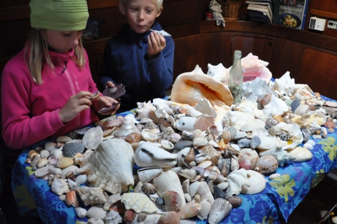 Många snäckor blir det ...