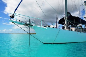 12995269134_c6032e68d9_o