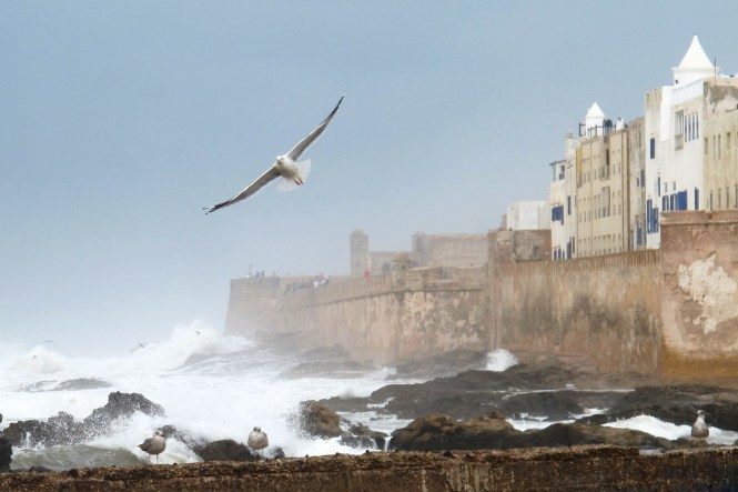 10. Favoritstaden: Essaouira, Marocko